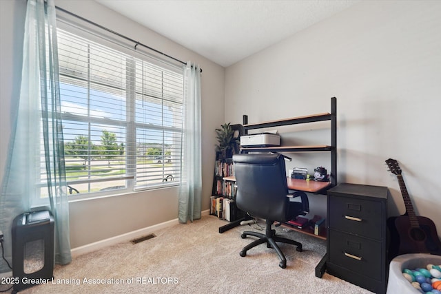 652 Anhinga Dr, East Lansing, MI 48823 - photo 10