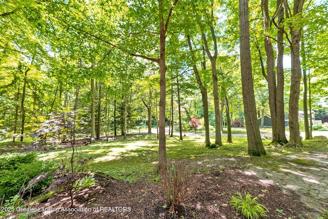 13368 Forest Hill Rd, Grand Ledge, MI 48837 - view of yard