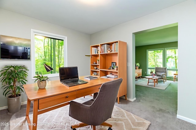 13368 Forest Hill Rd, Grand Ledge, MI 48837 - office with carpet flooring and baseboards