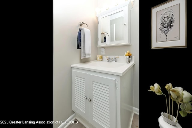 13368 Forest Hill Rd, Grand Ledge, MI 48837 - bathroom with vanity