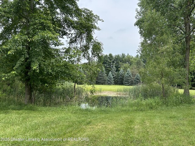 5101 E Cutler Rd, Bath, MI 48808 - photo 6
