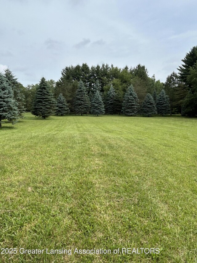 5101 E Cutler Rd, Bath, MI 48808 - photo 7