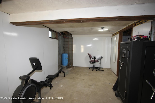 10996 Benton Rd, Grand Ledge, MI 48837 - view of exercise area