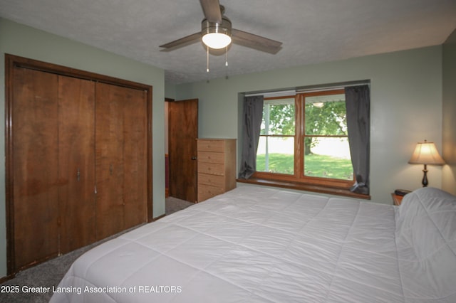 10996 Benton Rd, Grand Ledge, MI 48837 - bedroom with a closet, carpet flooring, and a ceiling fan