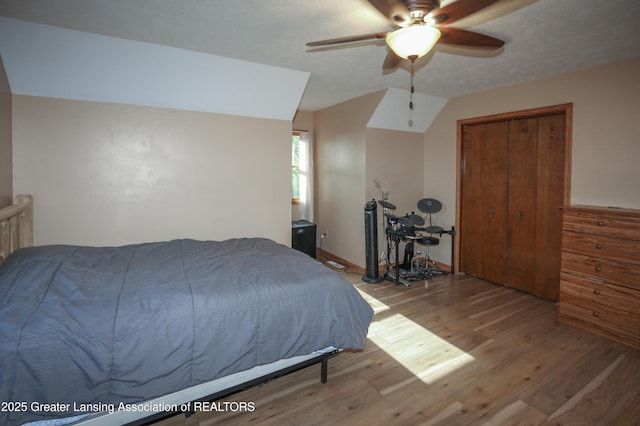10996 Benton Rd, Grand Ledge, MI 48837 - bedroom with wood finished floors, vaulted ceiling, a closet, and ceiling fan