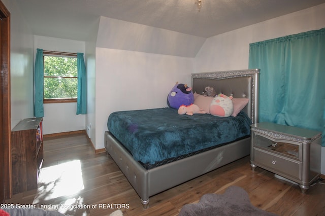 10996 Benton Rd, Grand Ledge, MI 48837 - bedroom with wood finished floors and vaulted ceiling