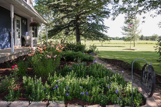 10996 Benton Rd, Grand Ledge, MI 48837 - view of grassy yard