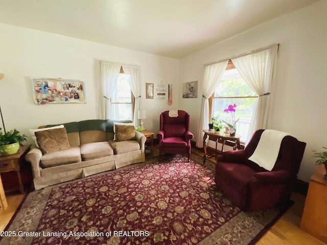 126 E St, Olivet, MI 49076 - photo 6