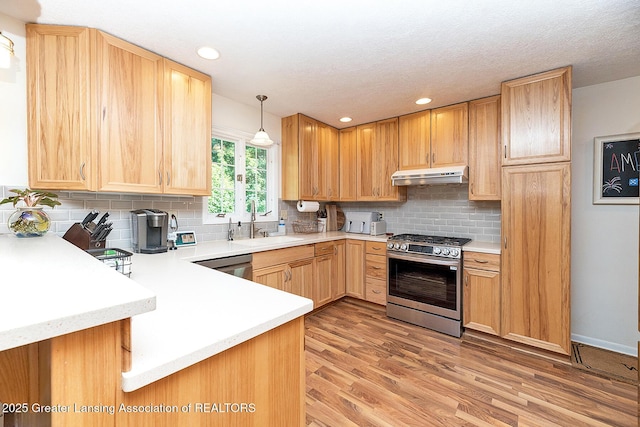 3855 Sandlewood Dr, Okemos, MI 48864 - kitchen with stainless steel appliances, under cabinet range hood, light countertops, light wood-style flooring, and recessed lighting