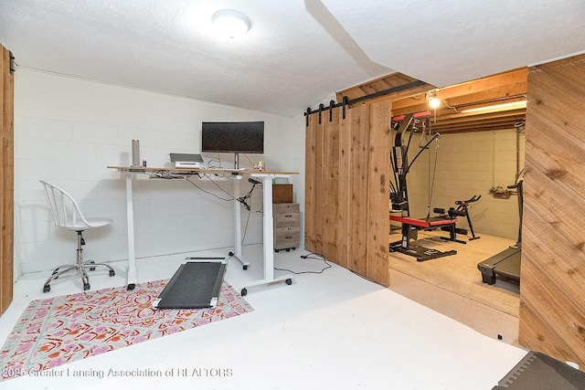 3855 Sandlewood Dr, Okemos, MI 48864 - exercise area with concrete block wall, a barn door, and wood walls