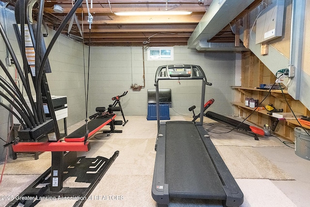 3855 Sandlewood Dr, Okemos, MI 48864 - workout area featuring concrete block wall