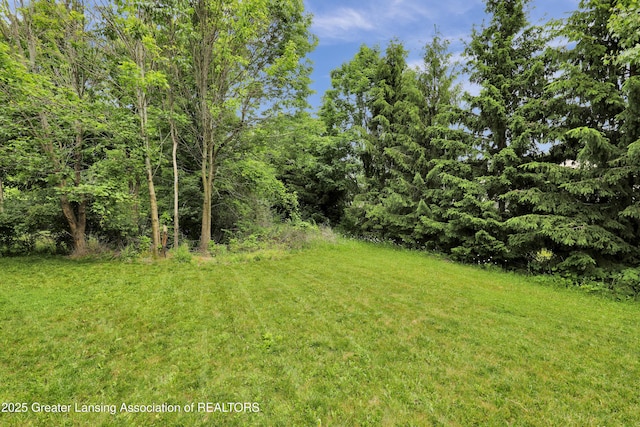 2564 Winterberry St Unit 12, Holt, MI 48842 - photo 30