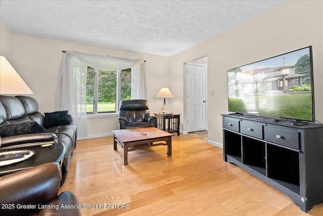 527 Day Rd, Owosso, MI 48867 - living area featuring light wood-type flooring and a textured ceiling