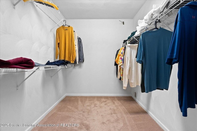 527 Day Rd, Owosso, MI 48867 - walk in closet with carpet