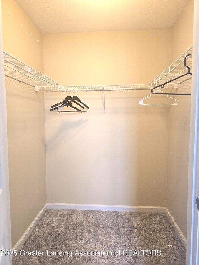 12907 Townsend Dr Unit 612, Grand Ledge, MI 48837 - walk in closet with carpet floors