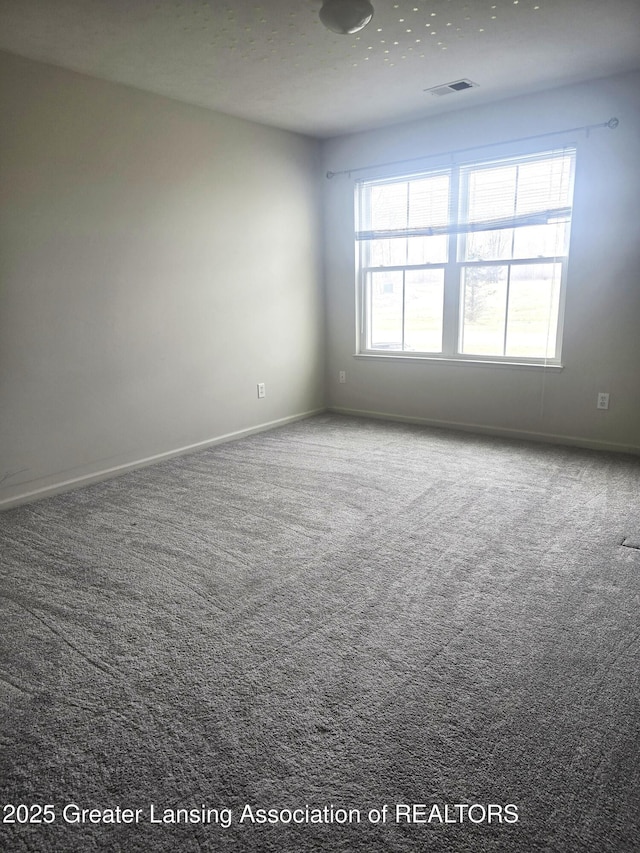 12907 Townsend Dr Unit 612, Grand Ledge, MI 48837 - spare room with carpet floors and baseboards