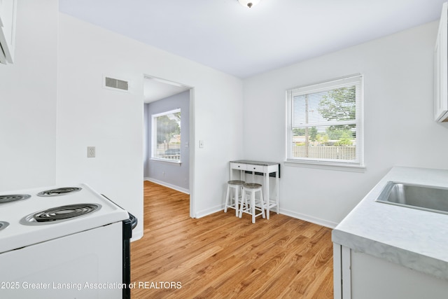 2324 Maplewood Ave, Lansing, MI 48910 - photo 14