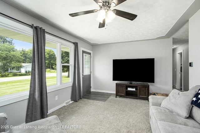 9514 Huntington Rd, Battle Creek, MI 49017 - living room with carpet flooring and a ceiling fan