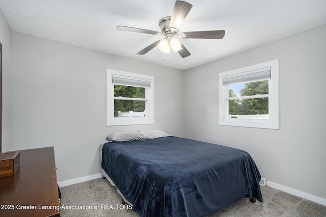 9514 Huntington Rd, Battle Creek, MI 49017 - bedroom featuring multiple windows, carpet flooring, and a ceiling fan
