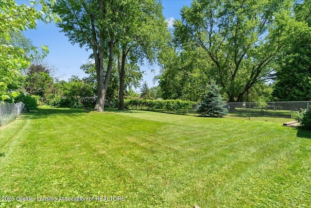 2218 Coolridge Rd, Holt, MI 48842 - view of fenced backyard