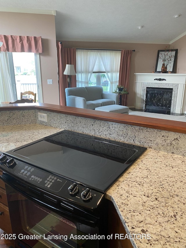 4001 Canyon Cv # 56, Holt, MI 48842 - kitchen featuring electric range, a fireplace, open floor plan, and recessed lighting