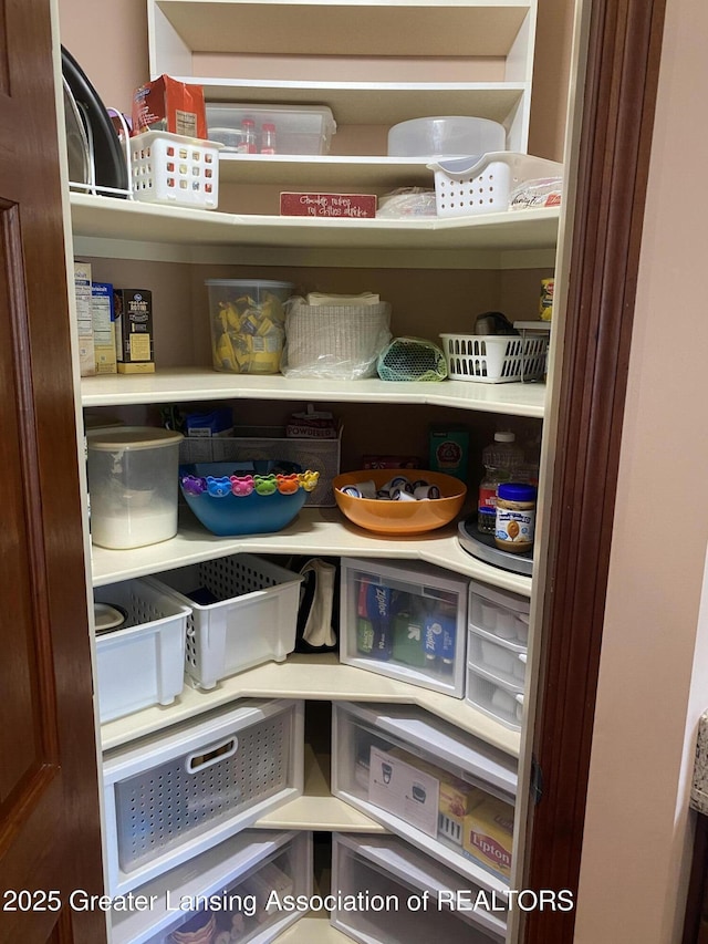 4001 Canyon Cv # 56, Holt, MI 48842 - view of pantry