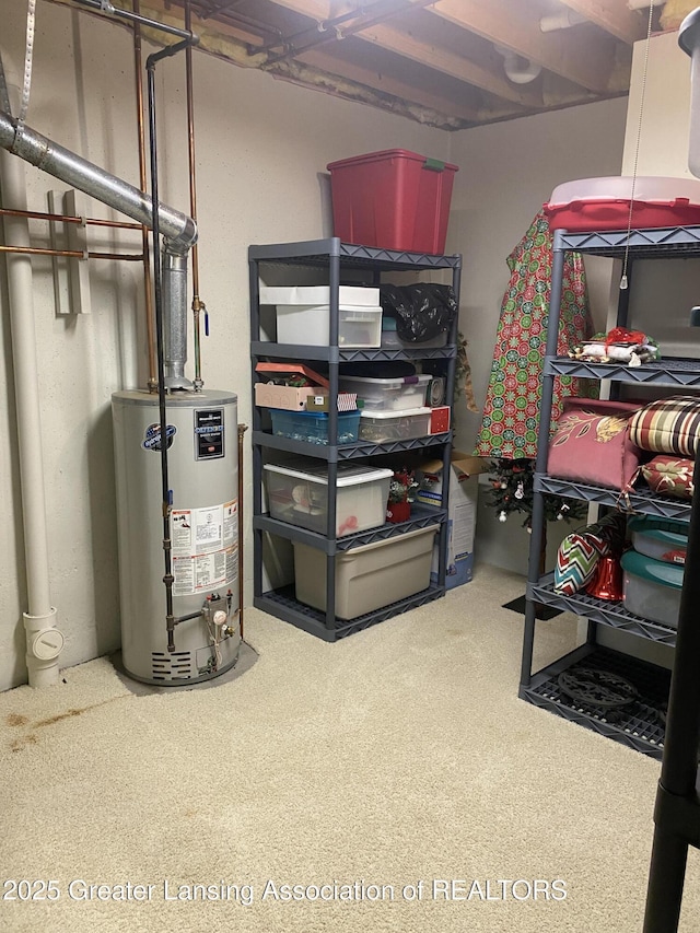 4001 Canyon Cv # 56, Holt, MI 48842 - storage room featuring gas water heater
