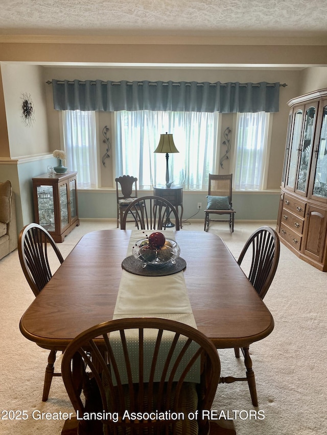 4001 Canyon Cv # 56, Holt, MI 48842 - dining space with light colored carpet, healthy amount of natural light, and a textured ceiling