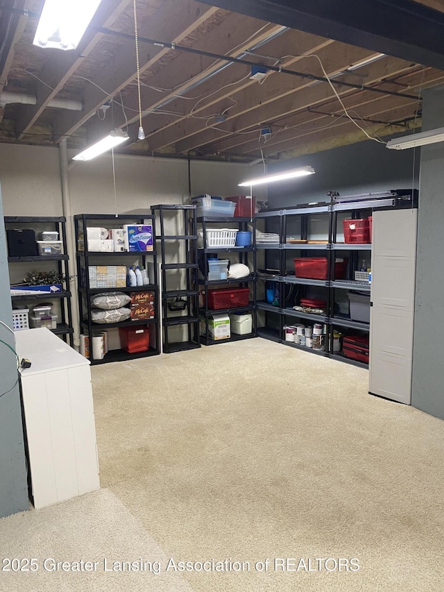 4001 Canyon Cv # 56, Holt, MI 48842 - view of storage