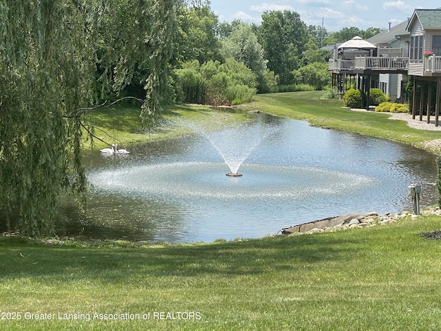4001 Canyon Cv # 56, Holt, MI 48842 - water view