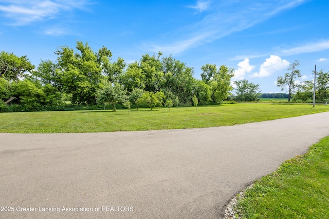 14747 Forest Hill Rd, Grand Ledge, MI 48837 - view of asphalt street