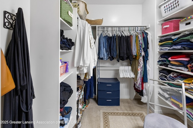 14747 Forest Hill Rd, Grand Ledge, MI 48837 - walk in closet featuring carpet flooring