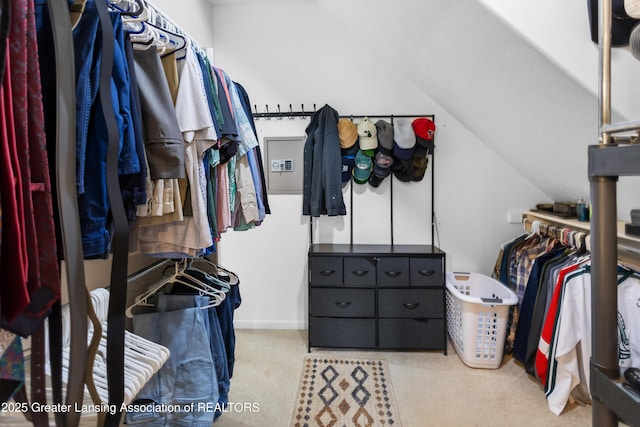 14747 Forest Hill Rd, Grand Ledge, MI 48837 - spacious closet featuring carpet and lofted ceiling