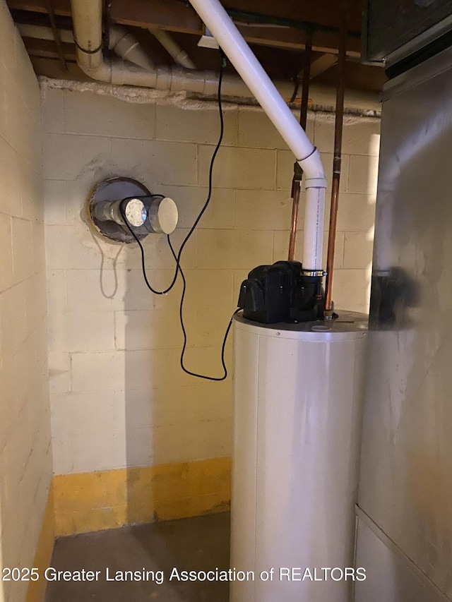 3931 Berry Ridge Dr, Holt, MI 48842 - utilities with water heater
