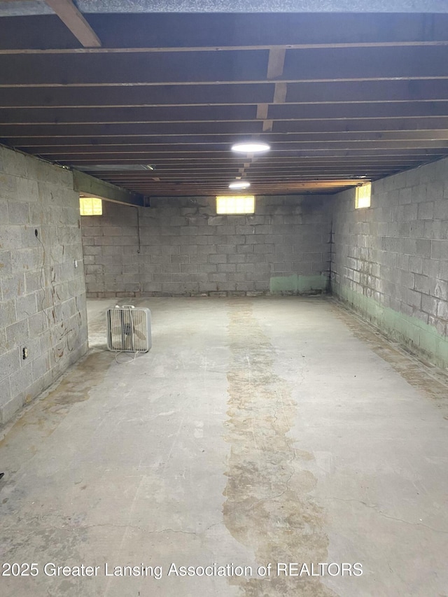 3931 Berry Ridge Dr, Holt, MI 48842 - view of basement