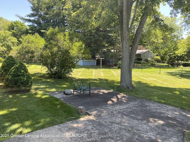 3931 Berry Ridge Dr, Holt, MI 48842 - view of yard