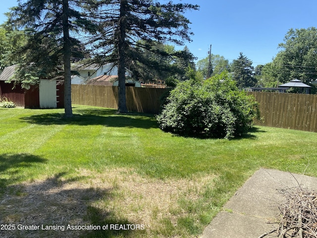 3931 Berry Ridge Dr, Holt, MI 48842 - view of yard featuring a storage unit