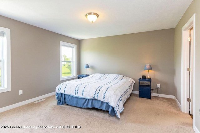 5940 Boxwood Ave, Holt, MI 48842 - photo 23