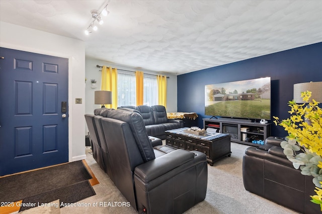 8713 Wintergreen St, Lansing, MI 48917 - carpeted living area featuring track lighting
