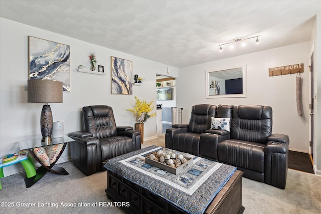 8713 Wintergreen St, Lansing, MI 48917 - living room with light colored carpet and baseboards