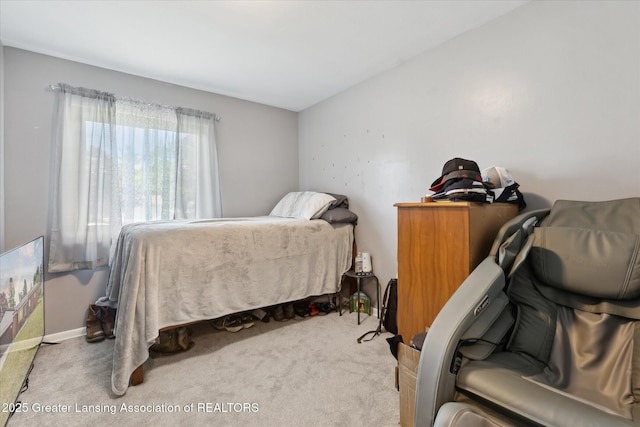 8713 Wintergreen St, Lansing, MI 48917 - carpeted bedroom with baseboards