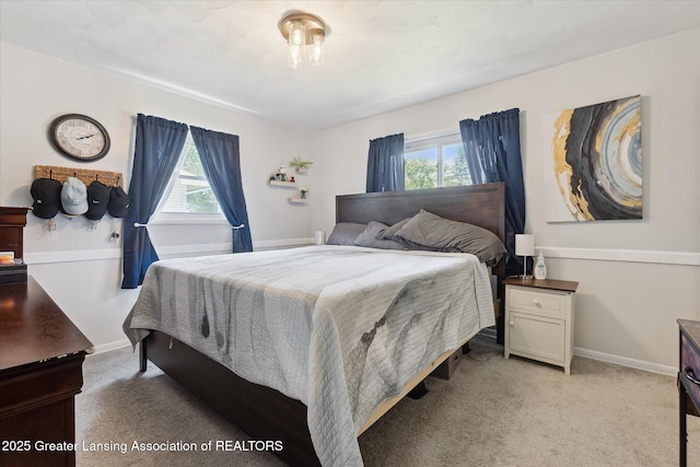 8713 Wintergreen St, Lansing, MI 48917 - bedroom with multiple windows and light colored carpet