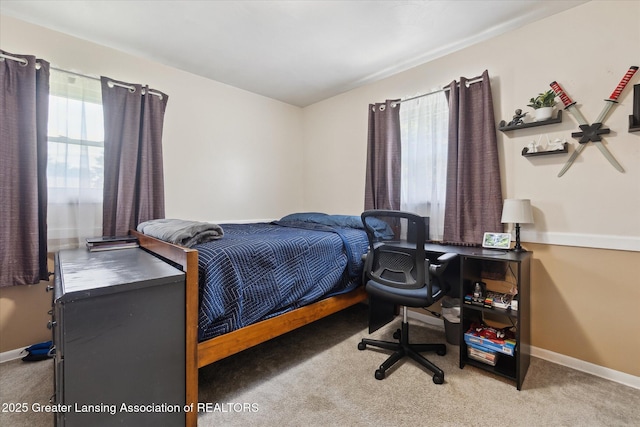 8713 Wintergreen St, Lansing, MI 48917 - carpeted bedroom with baseboards