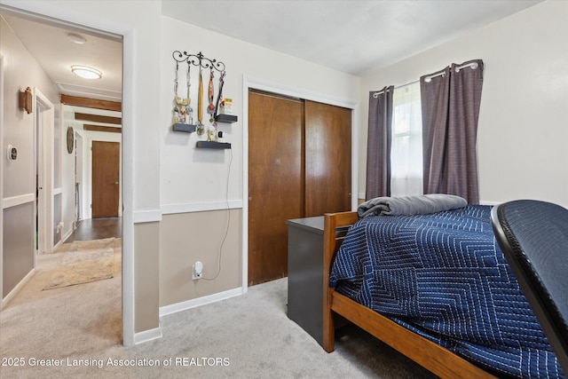 8713 Wintergreen St, Lansing, MI 48917 - bedroom featuring carpet and a closet