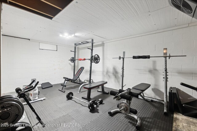 8713 Wintergreen St, Lansing, MI 48917 - exercise area with concrete block wall