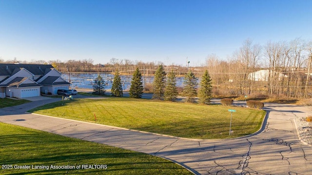 1108 W Maide Marians Ct, Williamston, MI 48895 - photo 2
