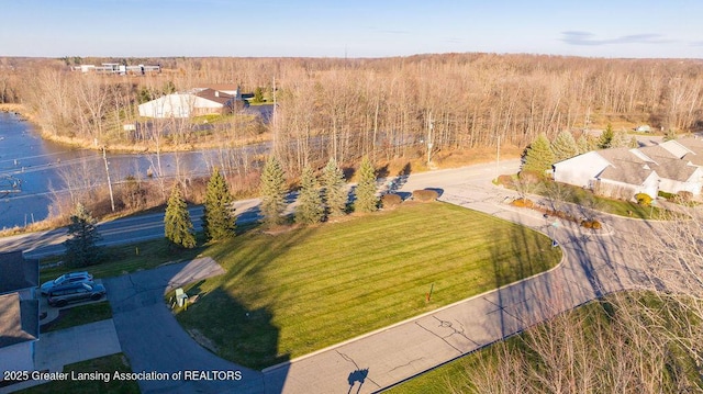 1108 W Maide Marians Ct, Williamston, MI 48895 - photo 4