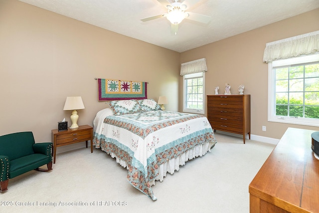 4347 Fruitbelt Ln, Williamston, MI 48895 - photo 25