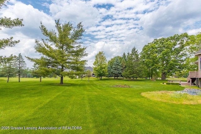 4347 Fruitbelt Ln, Williamston, MI 48895 - photo 46