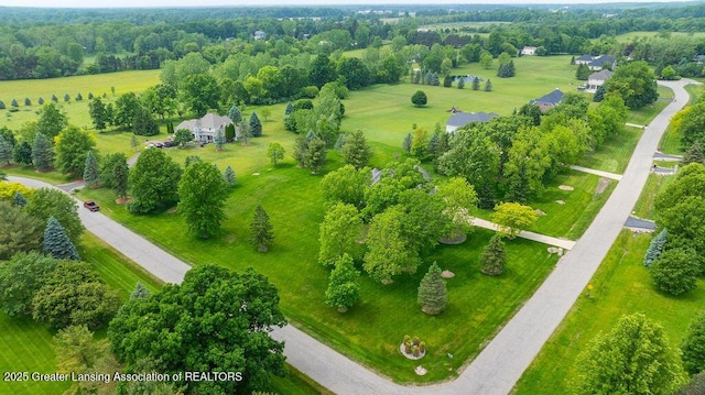 4347 Fruitbelt Ln, Williamston, MI 48895 - photo 47